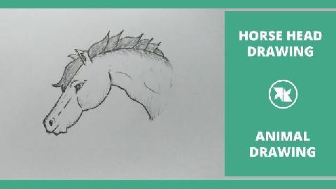 How to Draw a Horse Head for Children | Easy Horse Head Step by Step Drawing for kids